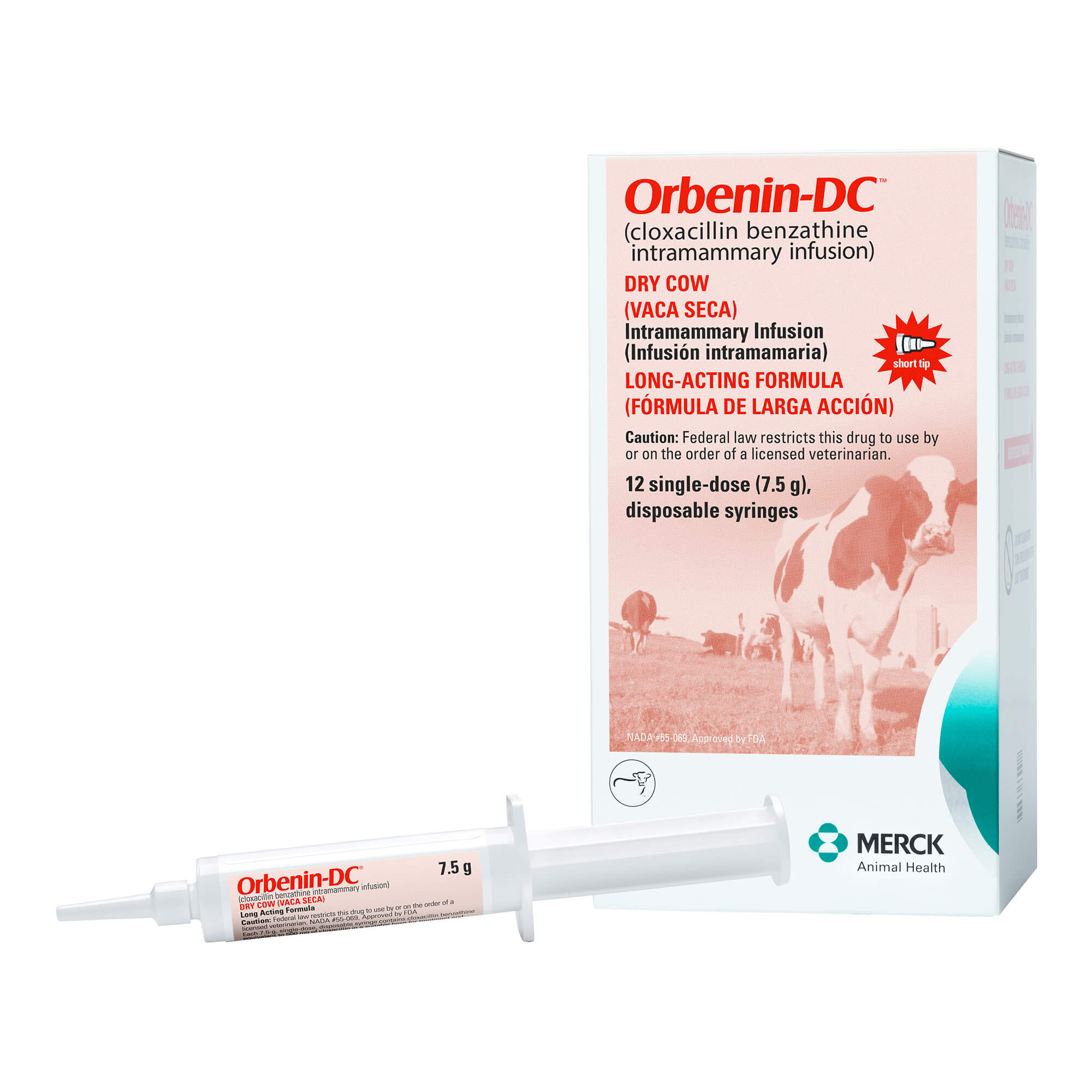 Rx Orbenin-DC (cloxacillin benzathine intramammary infusion) Dry Cow Formula, 12 Doses - Healthber