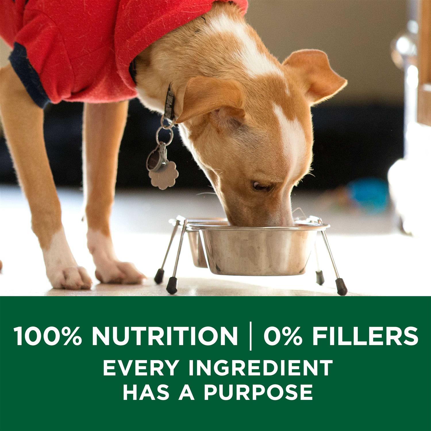 Purina ONE Plus Lamb & Rice Formula Small Breed Dry Dog Food - Healthber