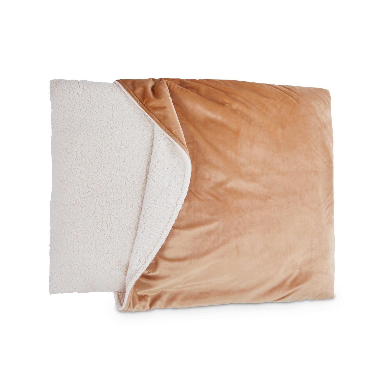 EveryYay Snooze Fest Pillow Pocket Dog Bed - Healthber