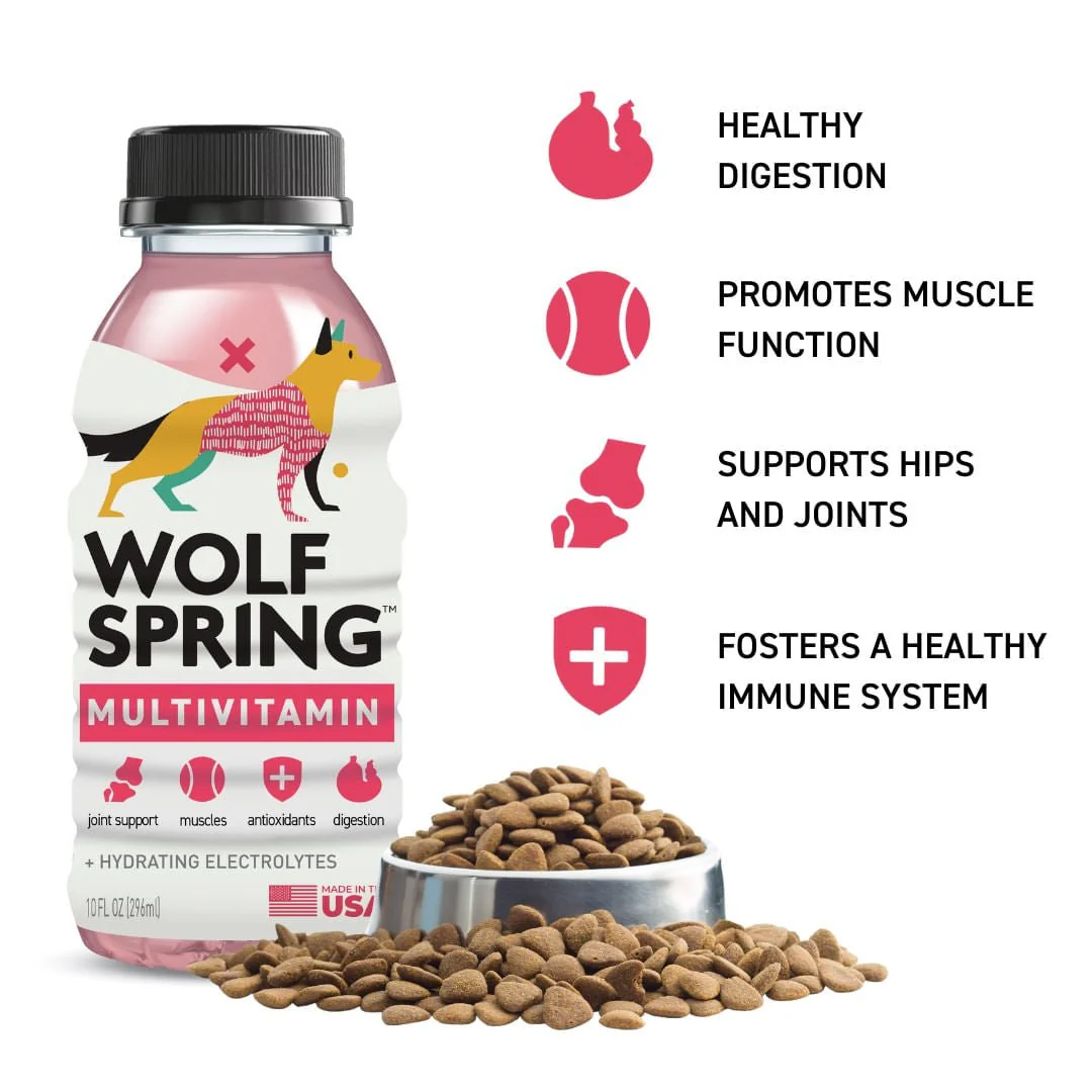 Multivitamin Food Topper for Dogs - Healthber