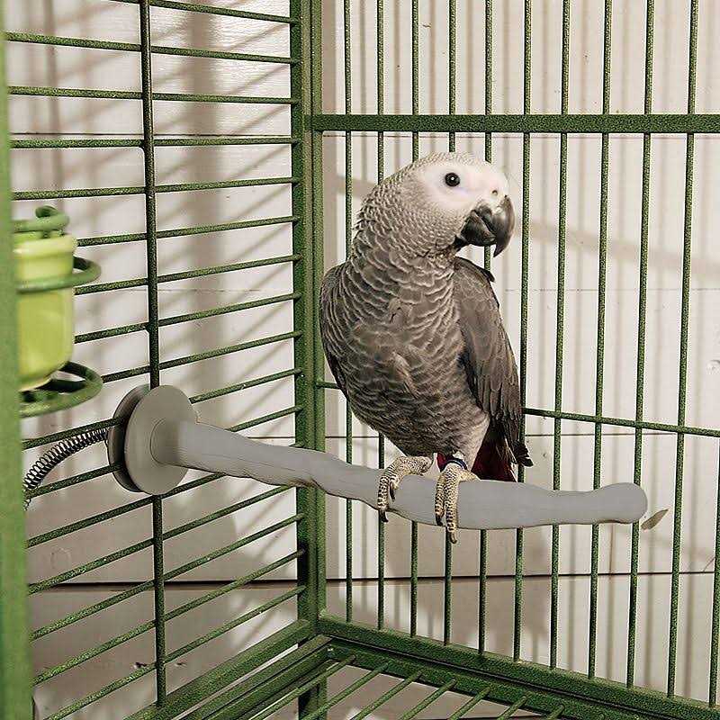K&H Pet Products Bird Thermo-Perch - Healthber