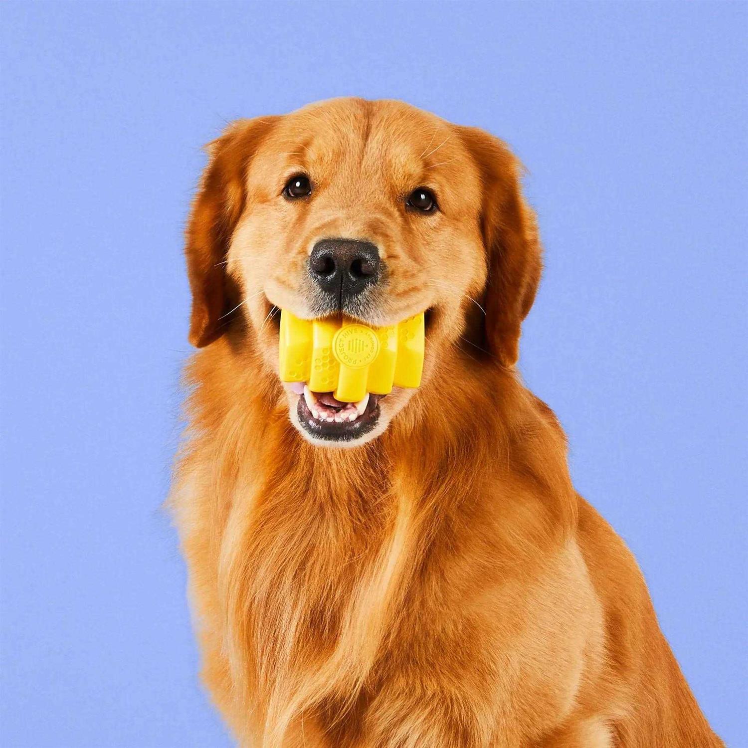 Project Hive Pet Company Dog Chew Toy - Healthber