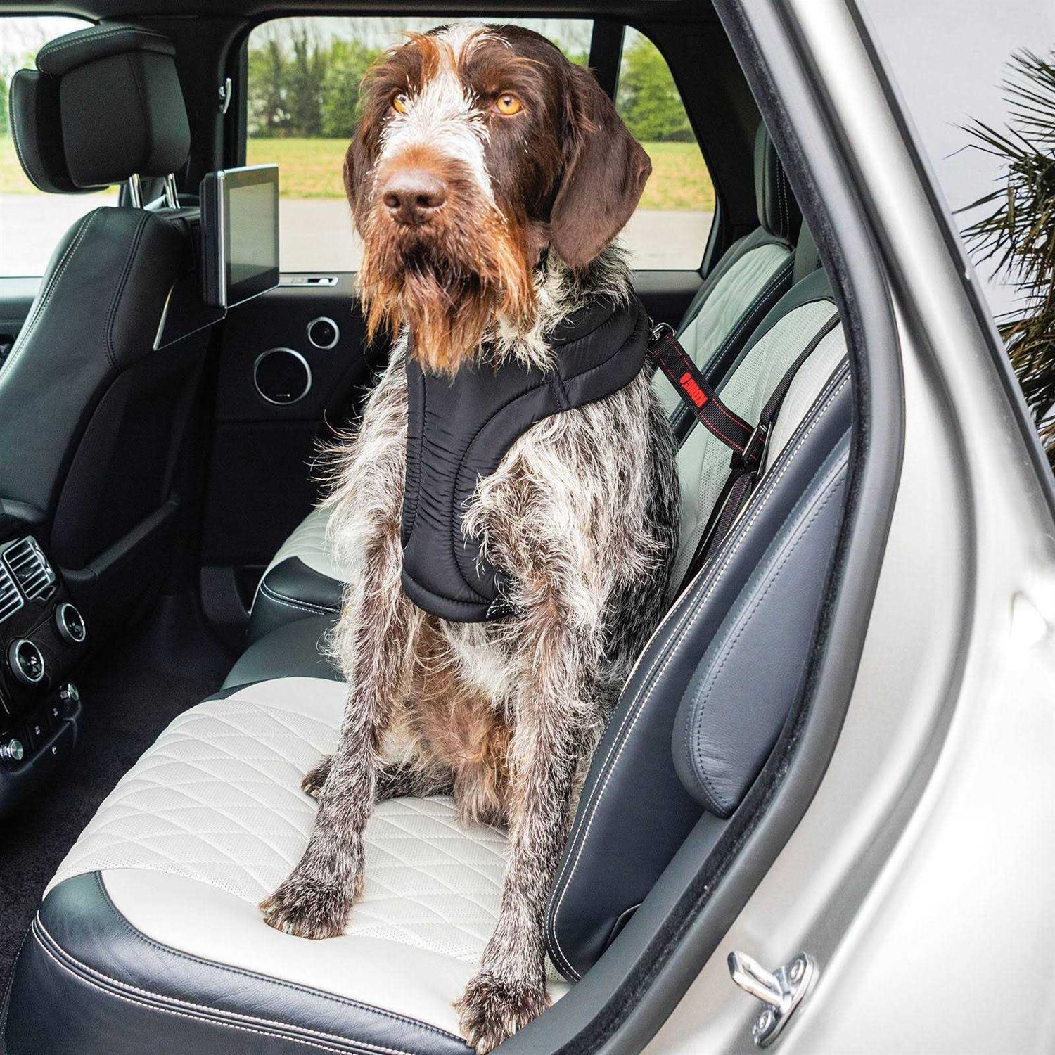 Kong Ultimate Safety Car Seat Tether - Healthber