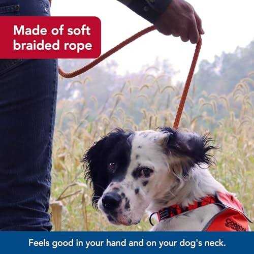 Water & Woods Braided Rope Dog Slip Leash - Healthber