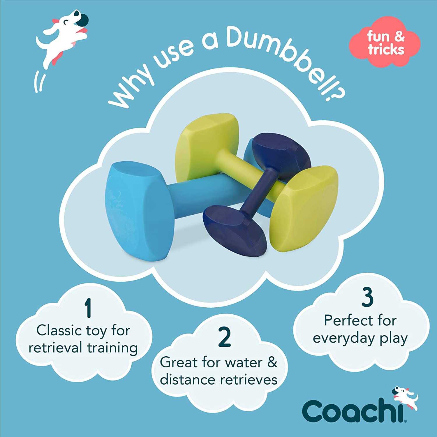 Coachi Dumbbell Training - Healthber