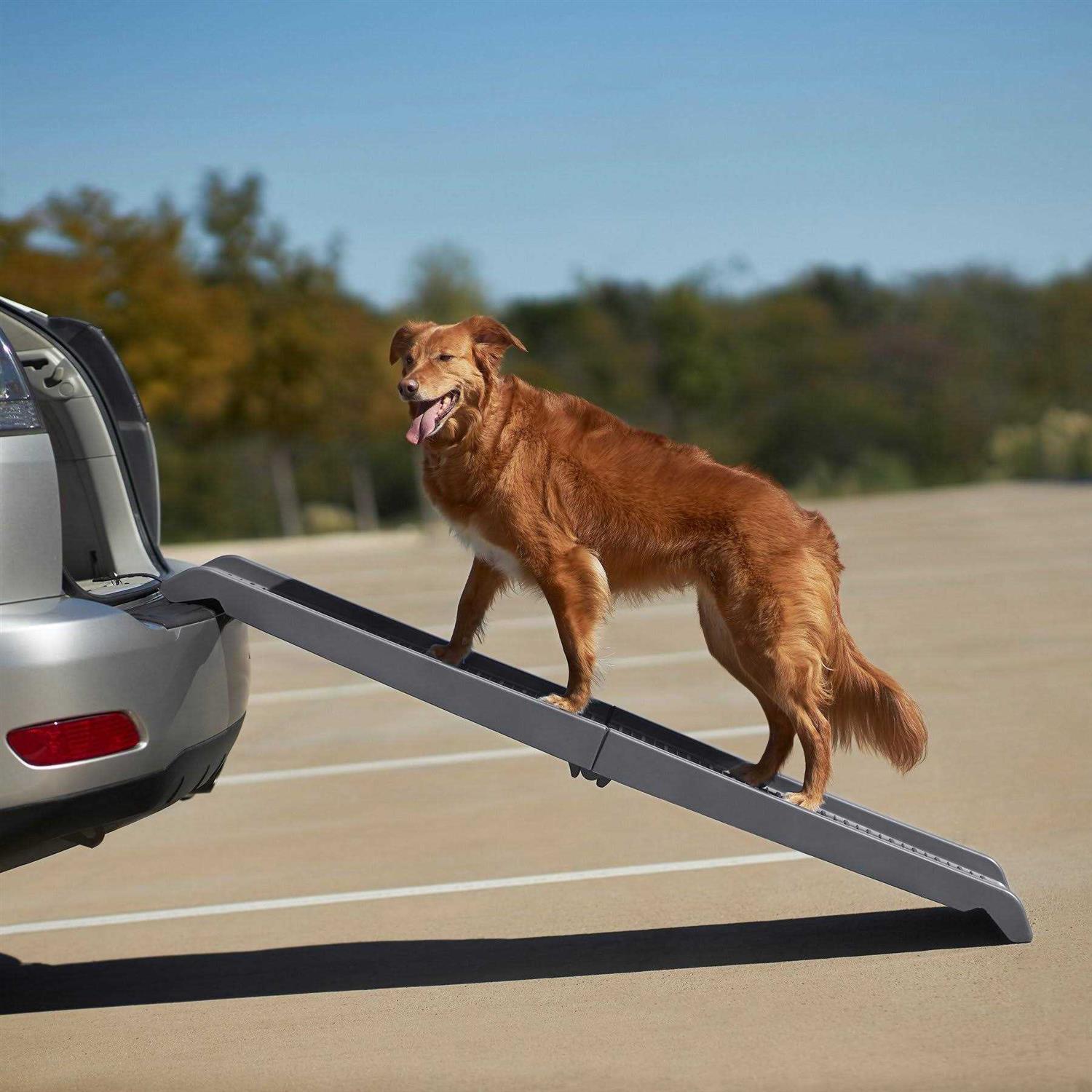 Frisco Bi-Fold Plastic Travel Pet Ramp - Healthber