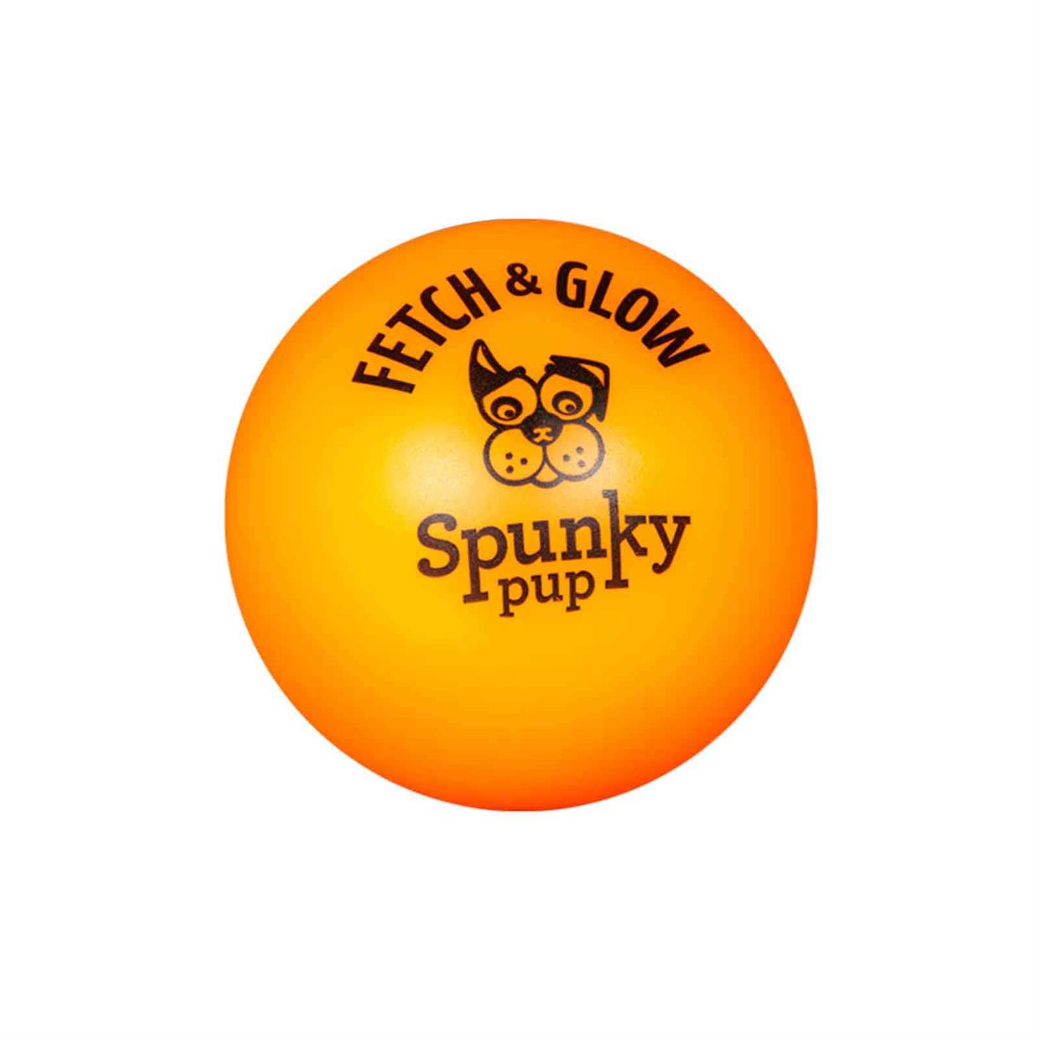 Spunky Pup Fetch Glow Ball - Healthber