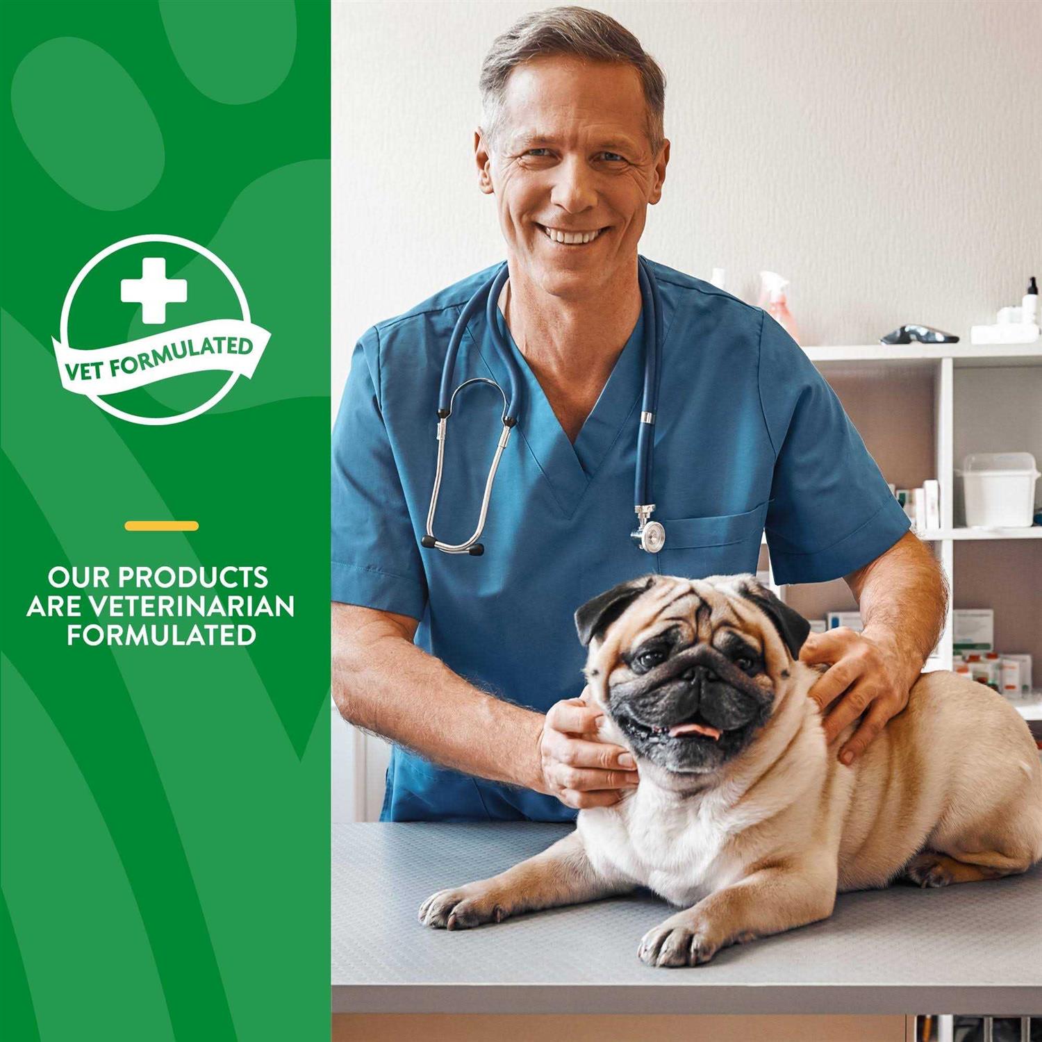 NaturVet No Toot Gas Aid Plus Fennel Soft Chews for Dogs - Healthber