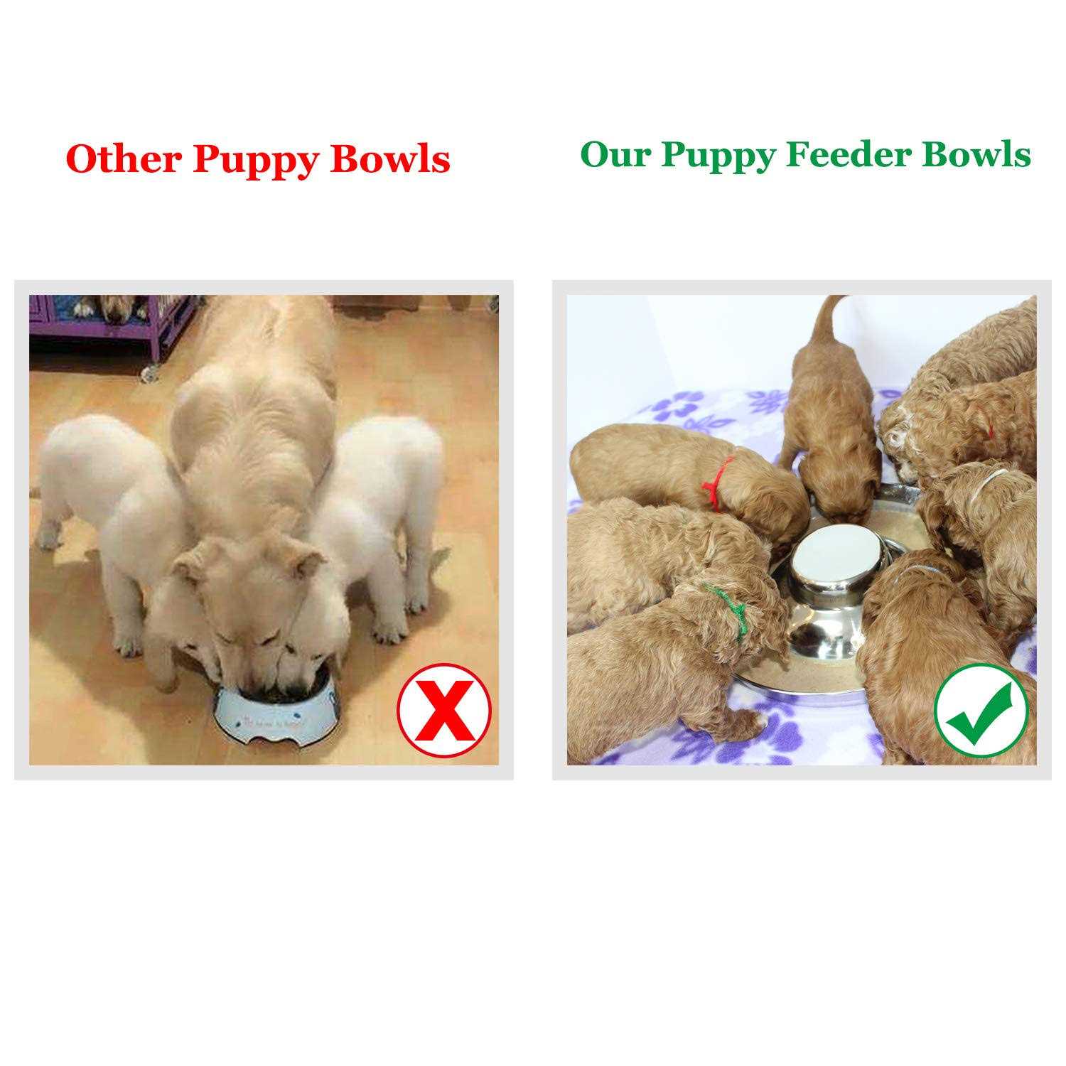 Podinor Stainless Steel Puppy Dog Bowls Pets Puppies Feeding Food and Water Weaning Bowls Dishes Feeder - Healthber