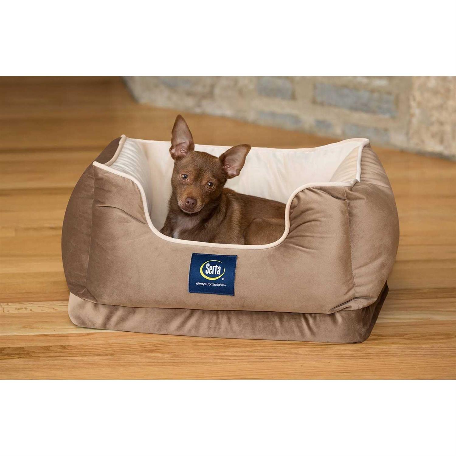 Serta Cuddler Pet Bed - Healthber