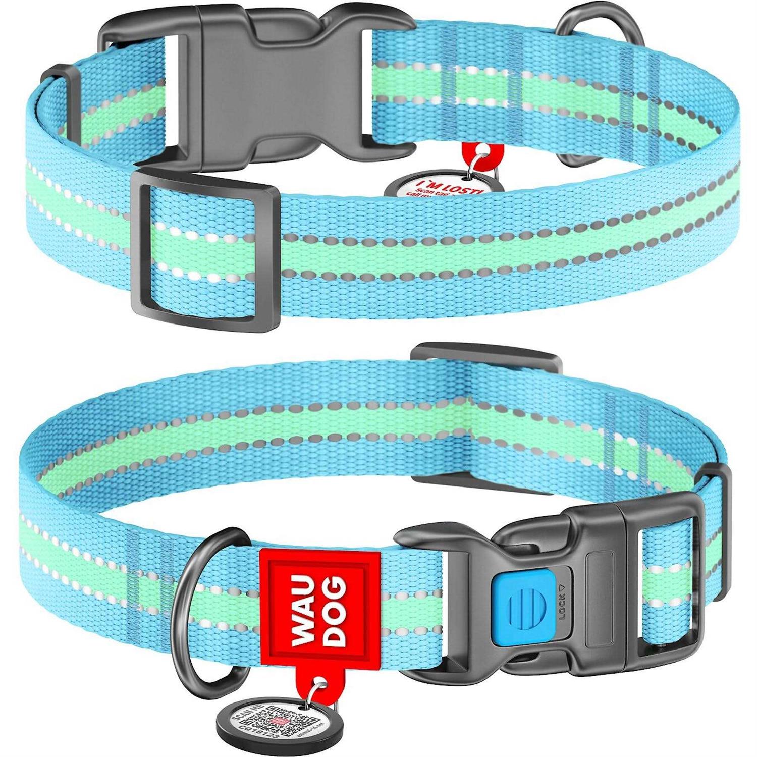 WAUDOG Glow in the Dark QR Passport Nylon Standard Dog Collar Blue - Healthber