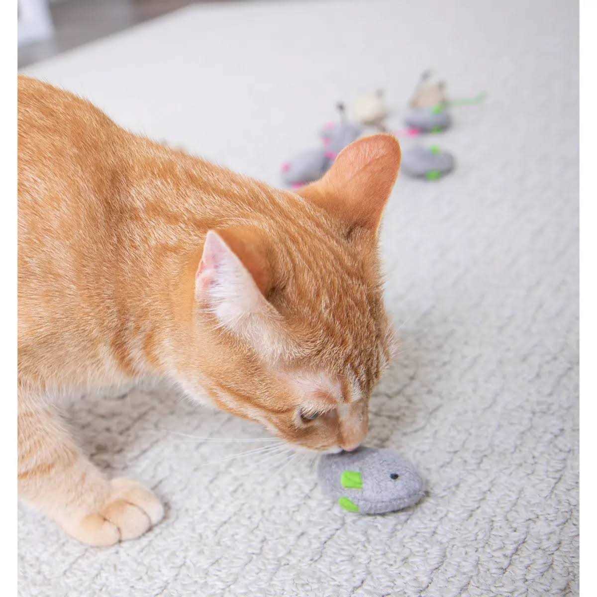 SmartyKat Skitter Critters Catnip Toys - Healthber