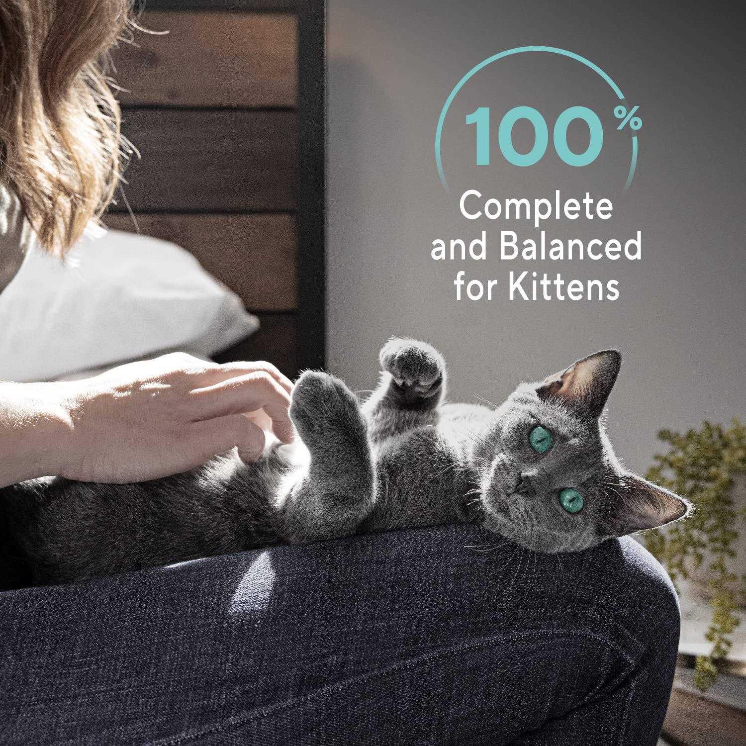 Sheba Perfect Portions Wet Kitten Food Pate - Healthber