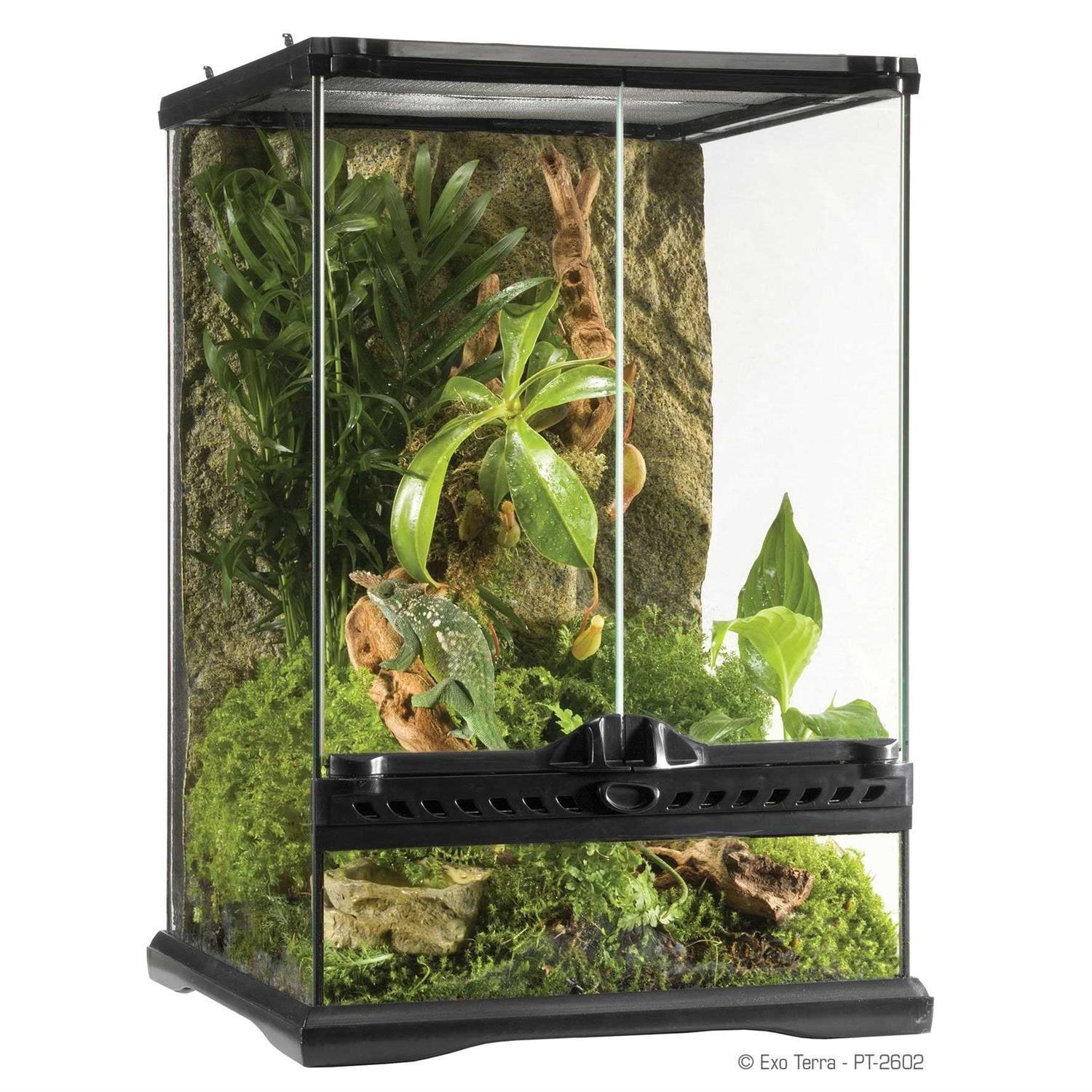 Exo Terra Glass Terrarium - Healthber
