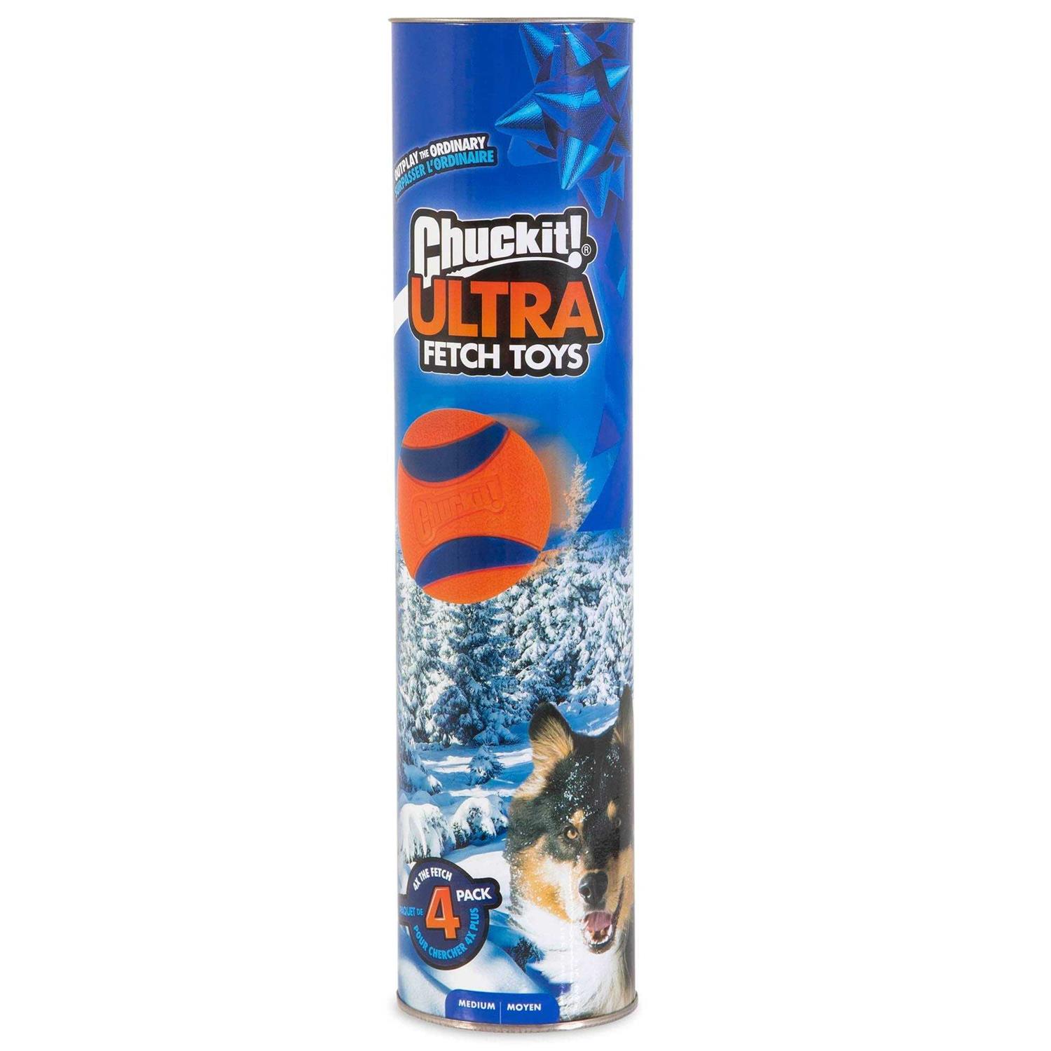 Chuckit! Canister Ultra Ball Dog Toy - Healthber