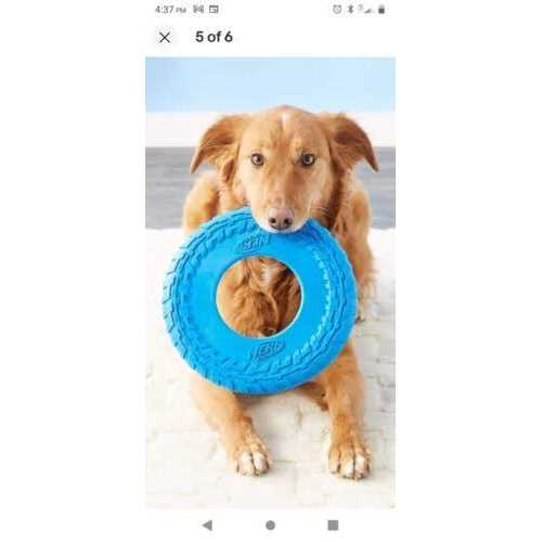 Nerf Dog Flyer Tire Dog Toy - Healthber