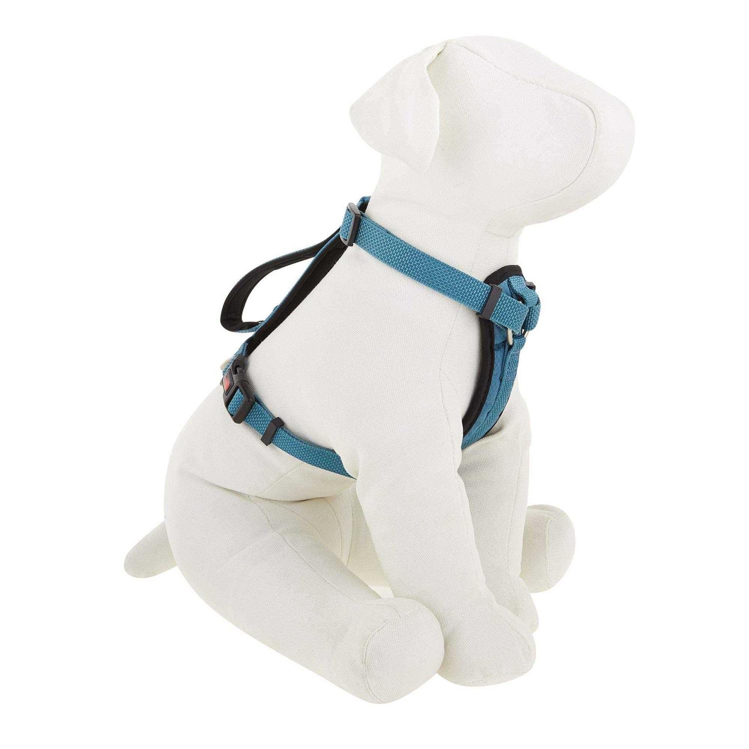 Kong Comfort Padded Chest Plate Dog Harness - Healthber