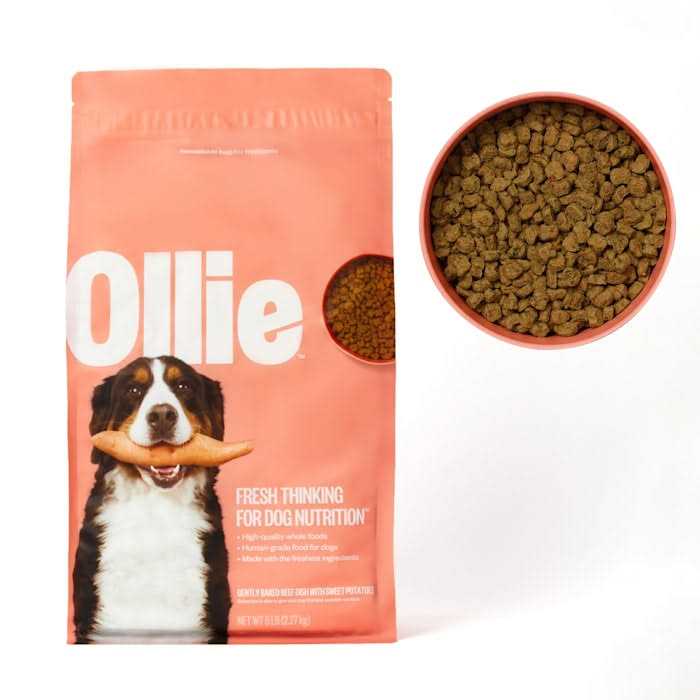 Ollie Baked Beef Dish with Sweet Potatoes Dry Dog Food - Healthber