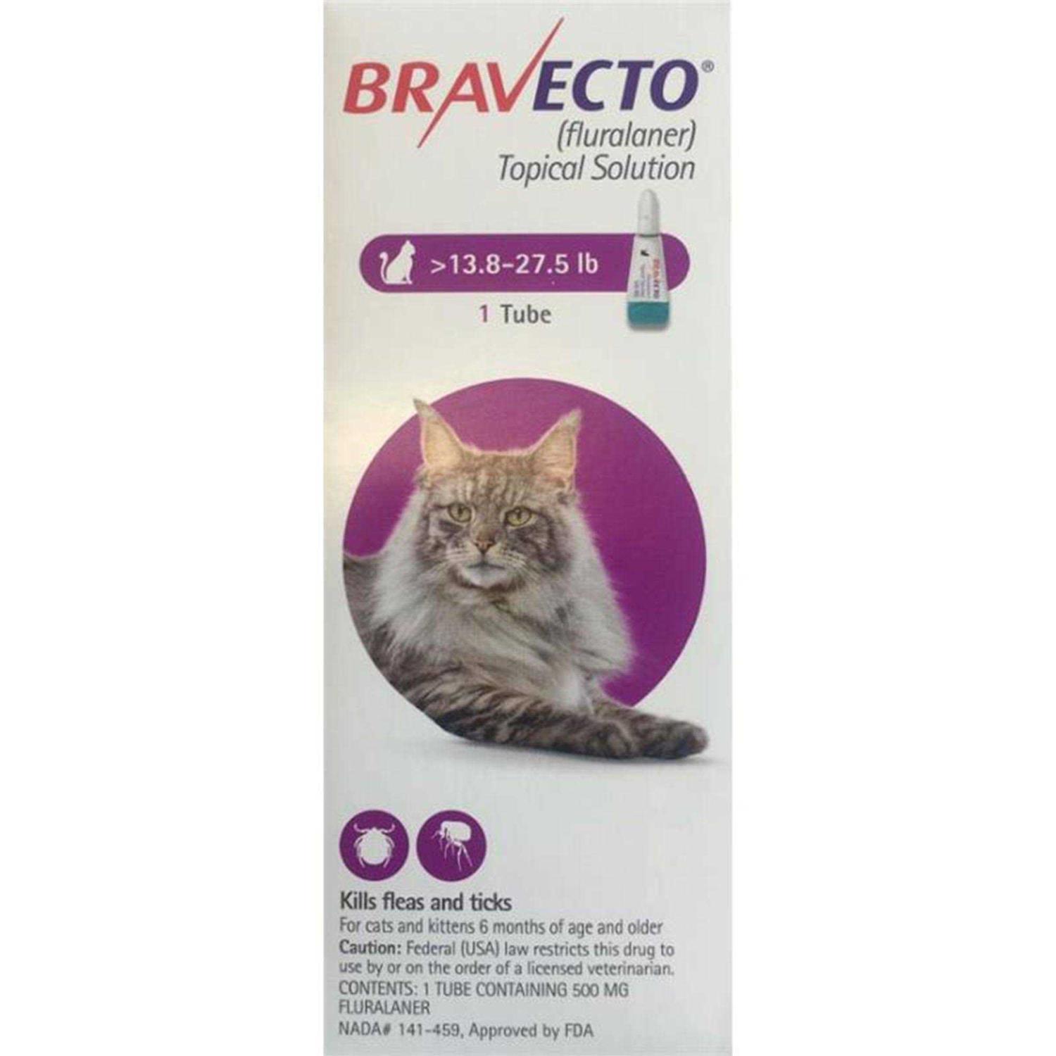 Bravecto Topical Solution for Cats - Healthber