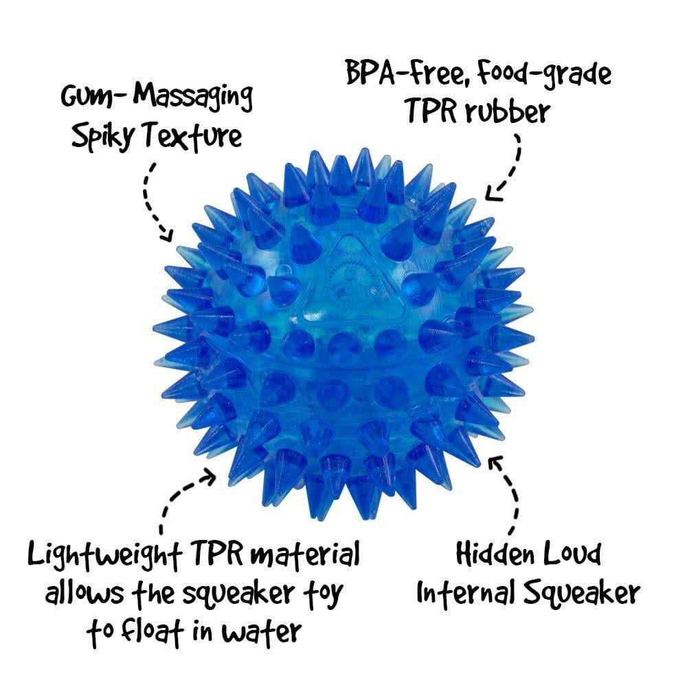 Gnawsome Squeaker Ball Dog Toy - Healthber
