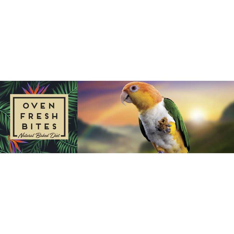 Caitec Oven Fresh Bites Medium - Healthber