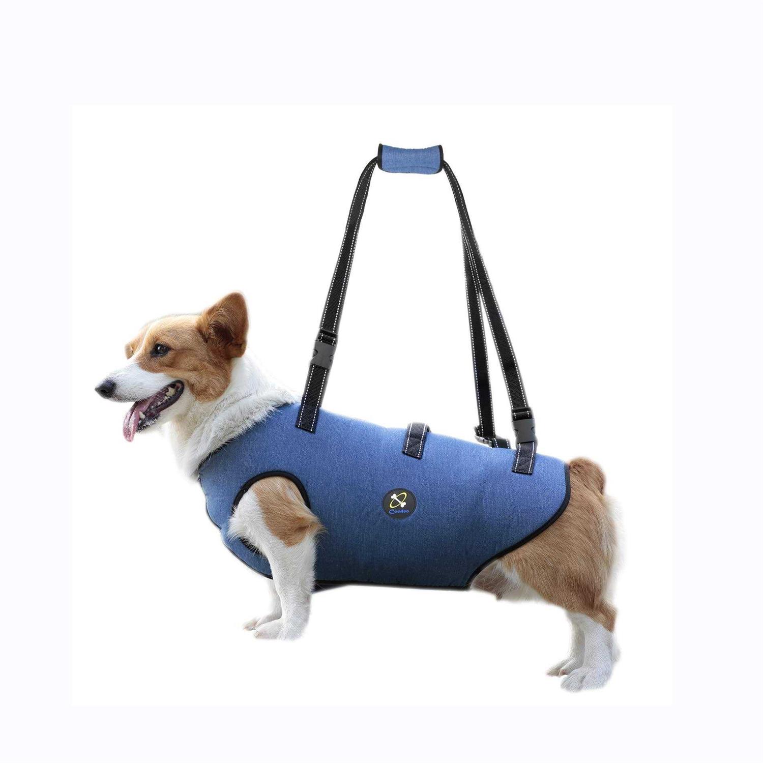 Coodeo Dog Lift Harness Support & Recovery Sling Pet Rehabilitation Lifts Vest Adjustable Breathable Straps for Old - Healthber