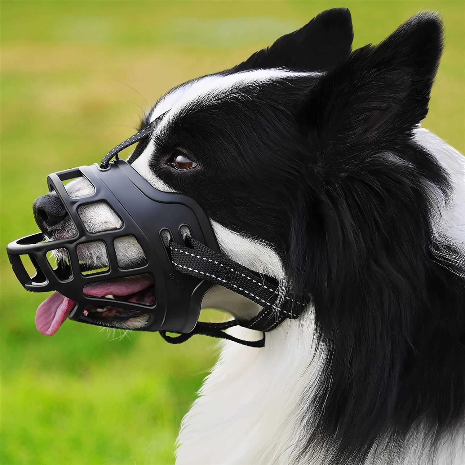 Dog Muzzle,Anti Biting and Stop Chewing,Drinking and Breath Free - Healthber