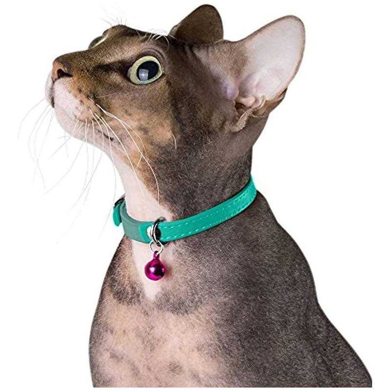 CollarDirect Leather Cat Collar with Bell Kitten Collar, Small and Big Cat Collar for Boy Cats - Healthber