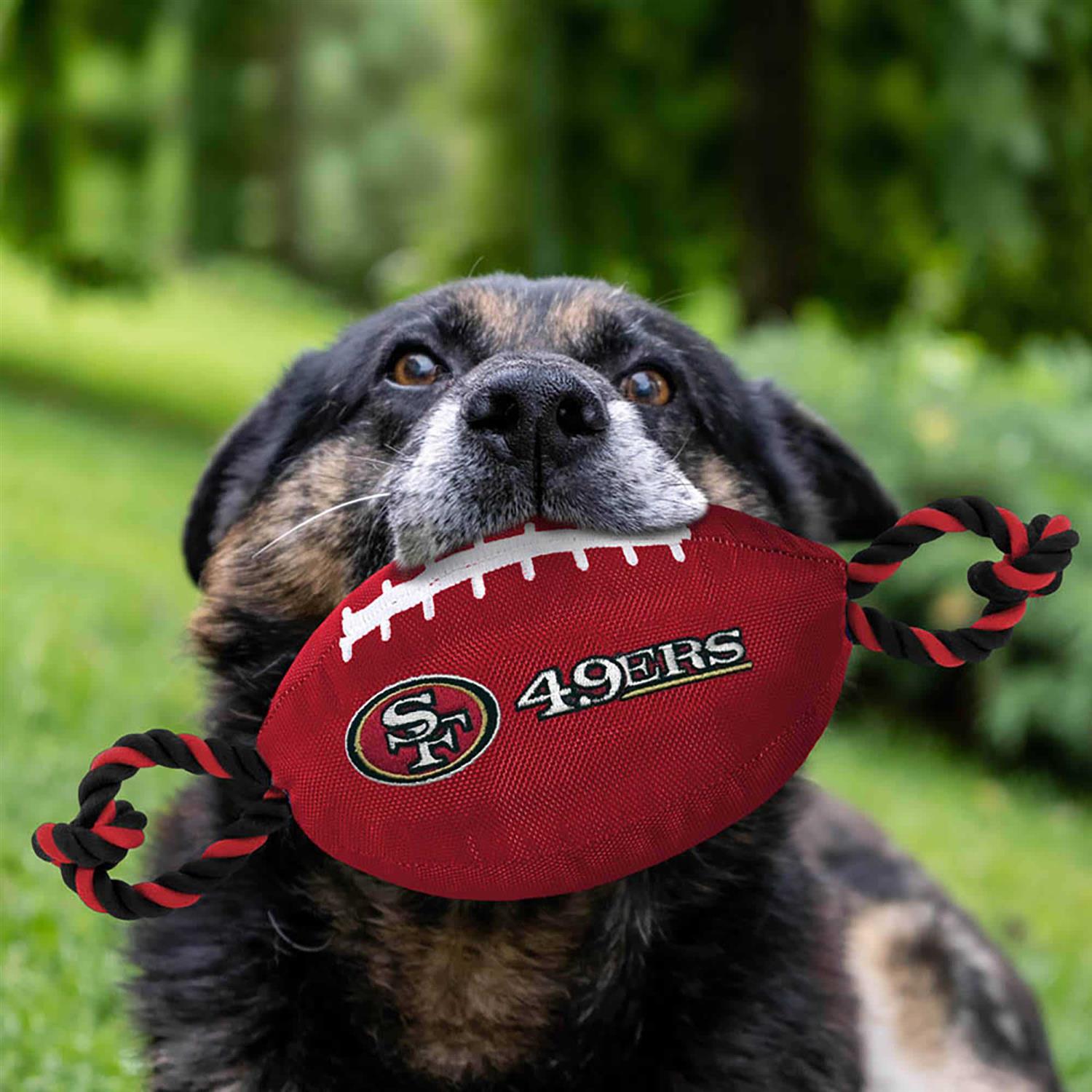 San Francisco 49ers Nylon Football - Healthber