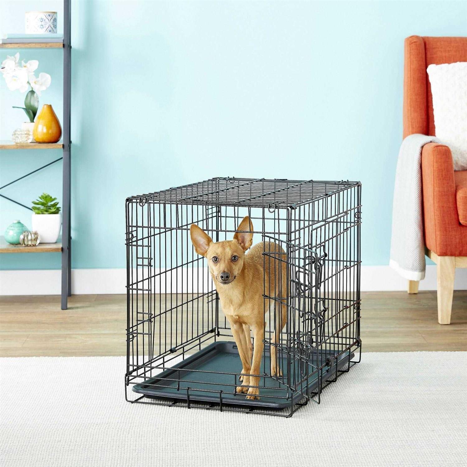 Paws Pals Double-Door Folding Wire Dog Crate - Healthber