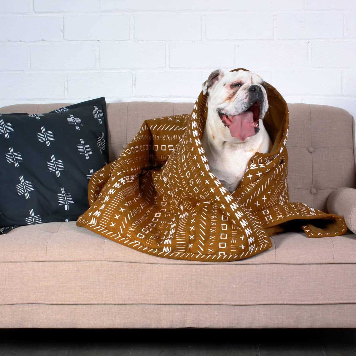 Molly Mutt Blanket - Healthber