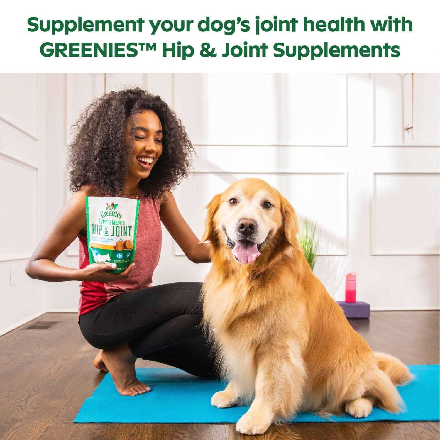 Greenies Supplements Hip & Joint for Dogs - Healthber