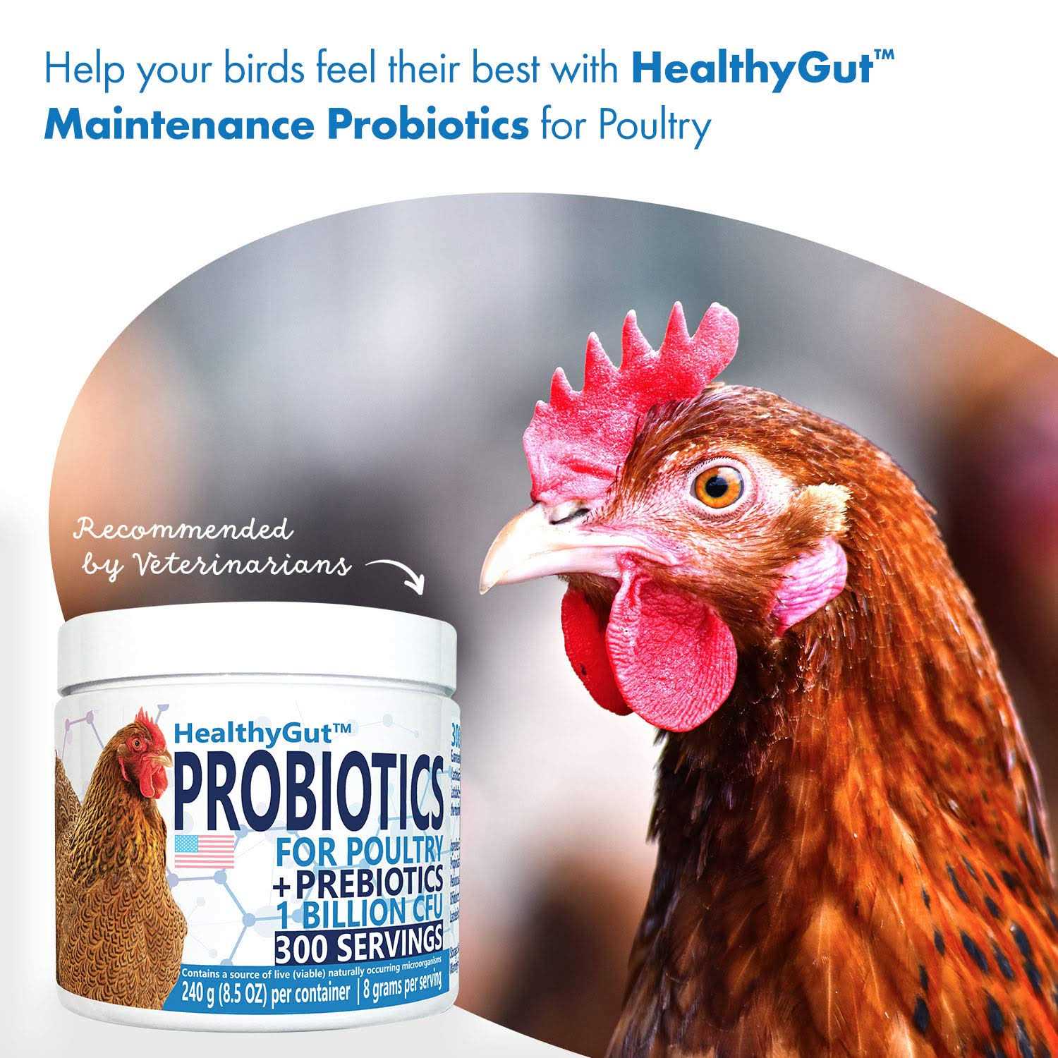 Equa Holistics HealthyGut Probiotics for Chickens & Poultry - Healthber
