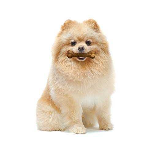 Nylabone Healthy Edibles Dog Treats - Healthber