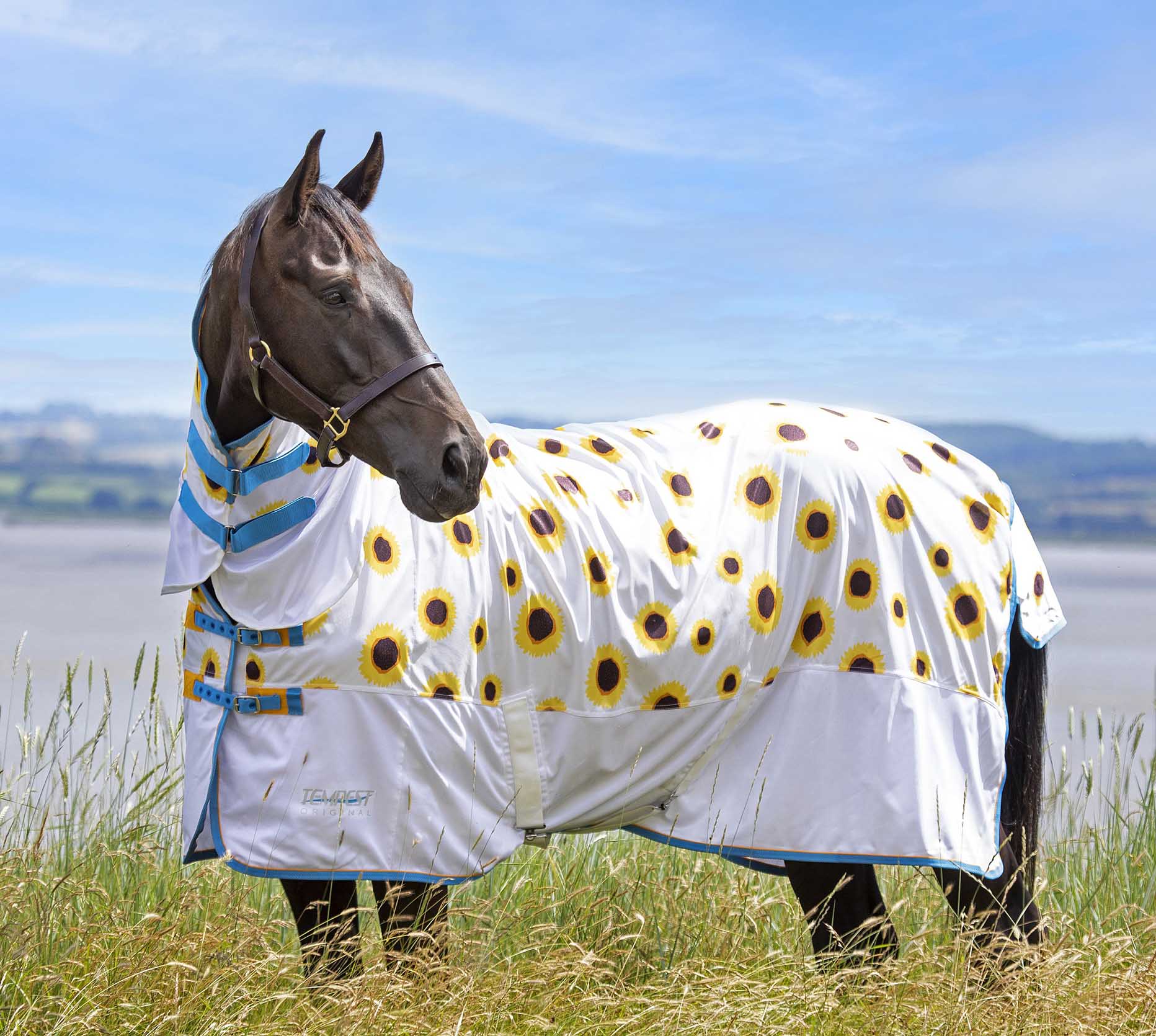 Shires Tempest 