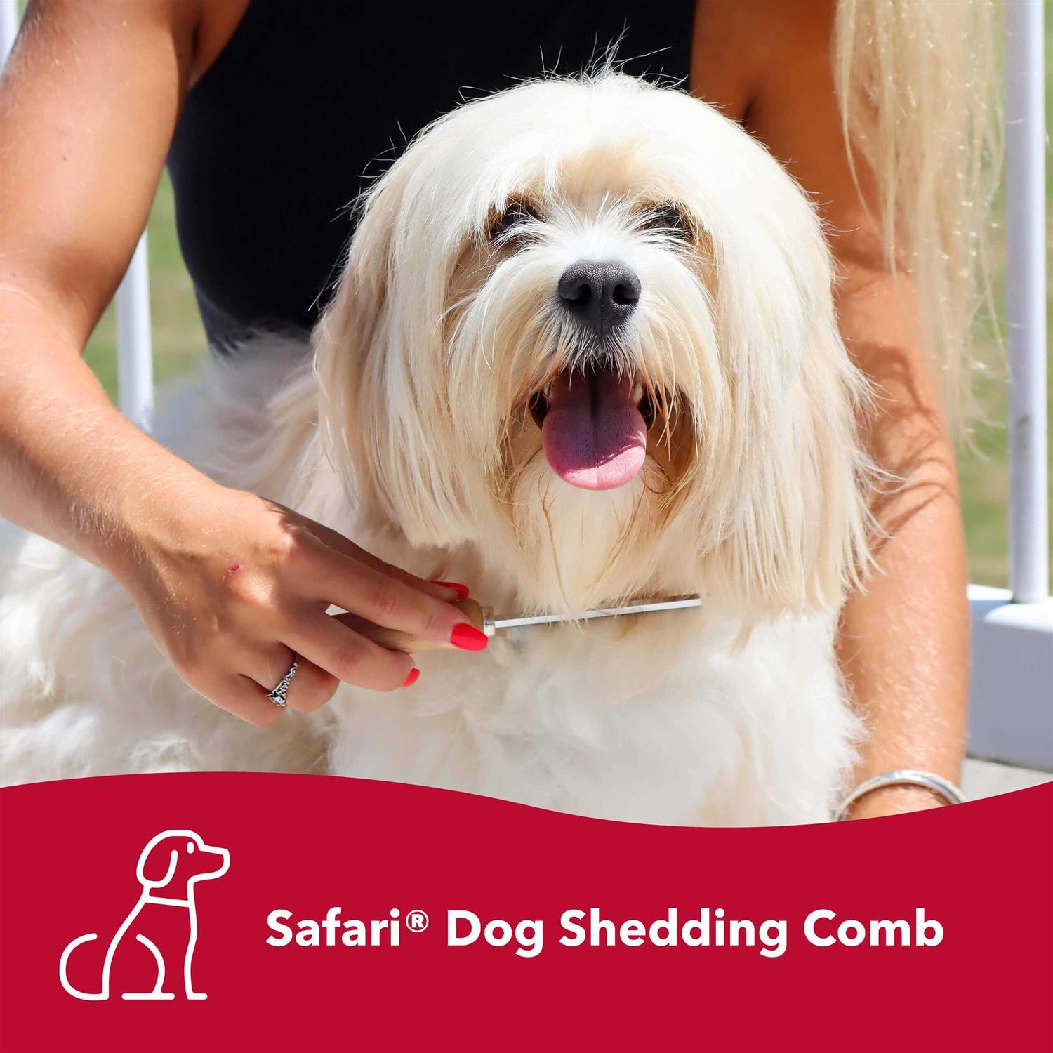 Safari Dog Shedding Comb - Healthber