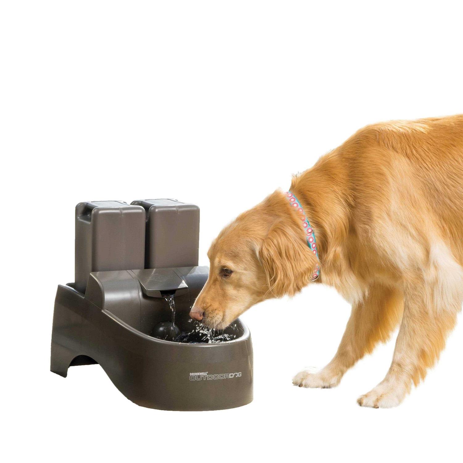 PetSafe Drinkwell Outdoor Dog Fountain - Healthber
