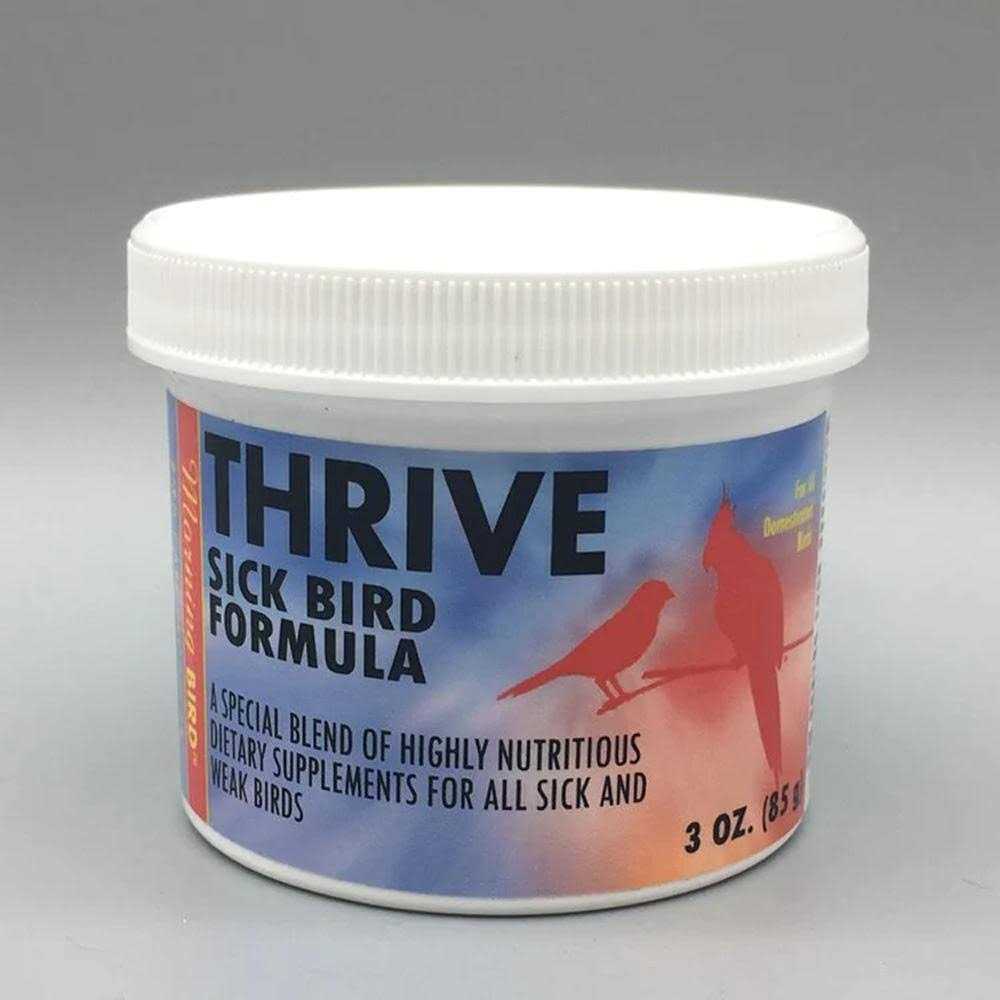 Morning Bird Thrive - Healthber