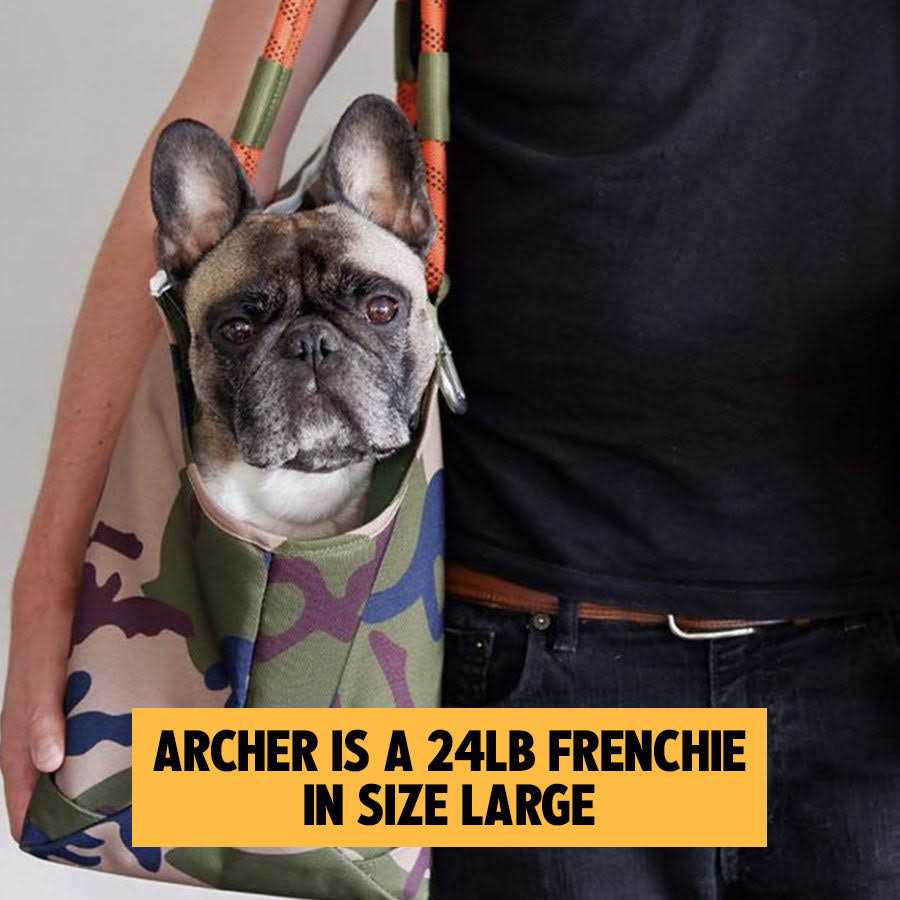 Roverlund Out-and-About Pet Tote - Healthber