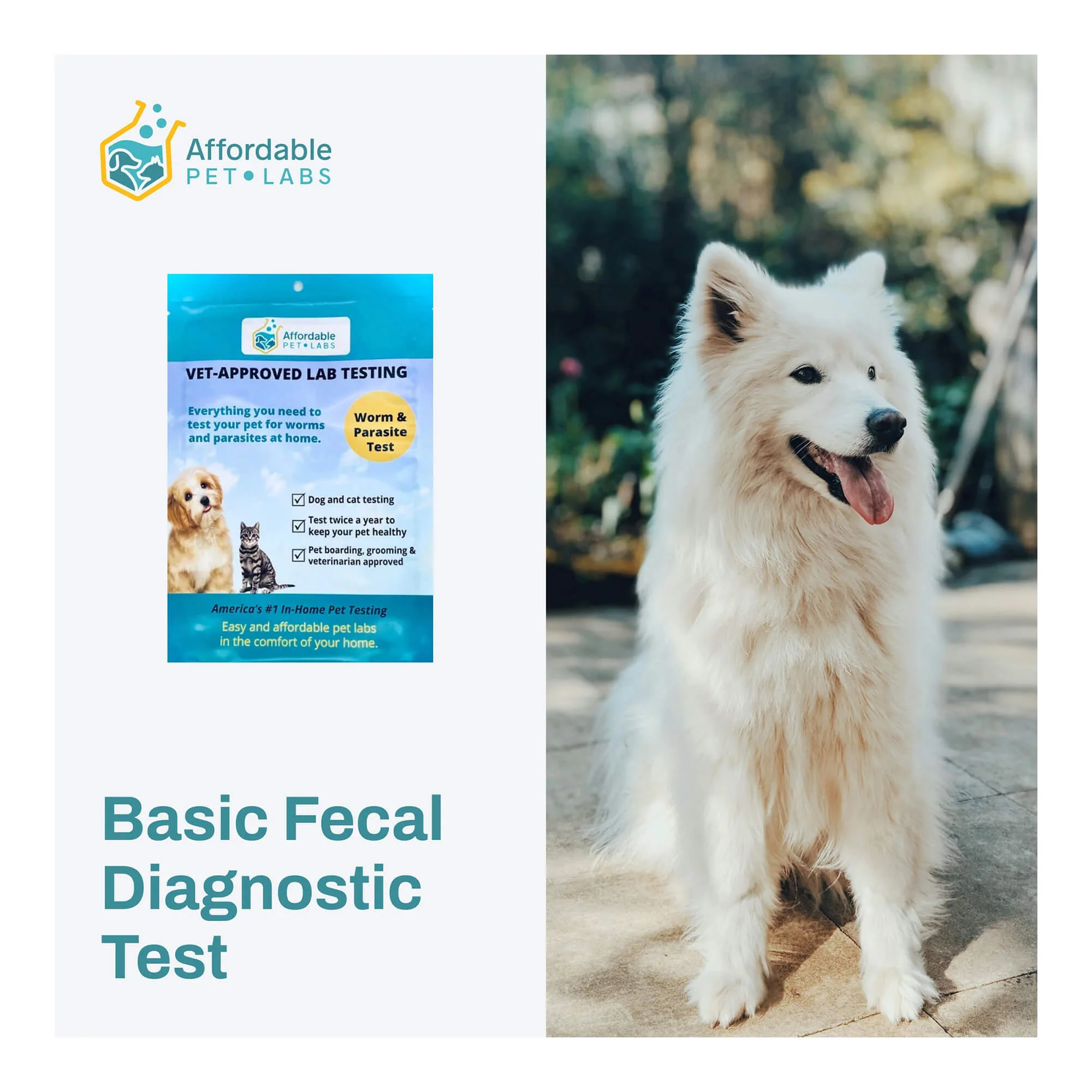 Affordable Pet Labs - Basic Fecal Diagnostic Test For Dogs & Cats, Easy Home Kit - Healthber