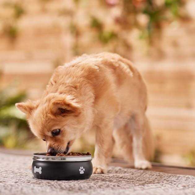 Frisco Travel Non-skid Stainless Steel Dog & Cat Bowl - Healthber