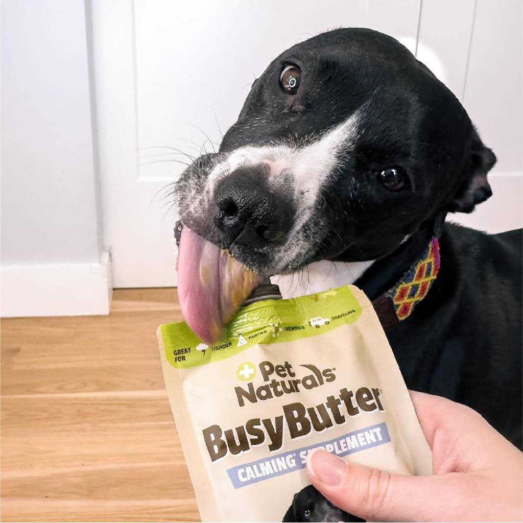 Pet Naturals Calming Peanut Butter - Healthber