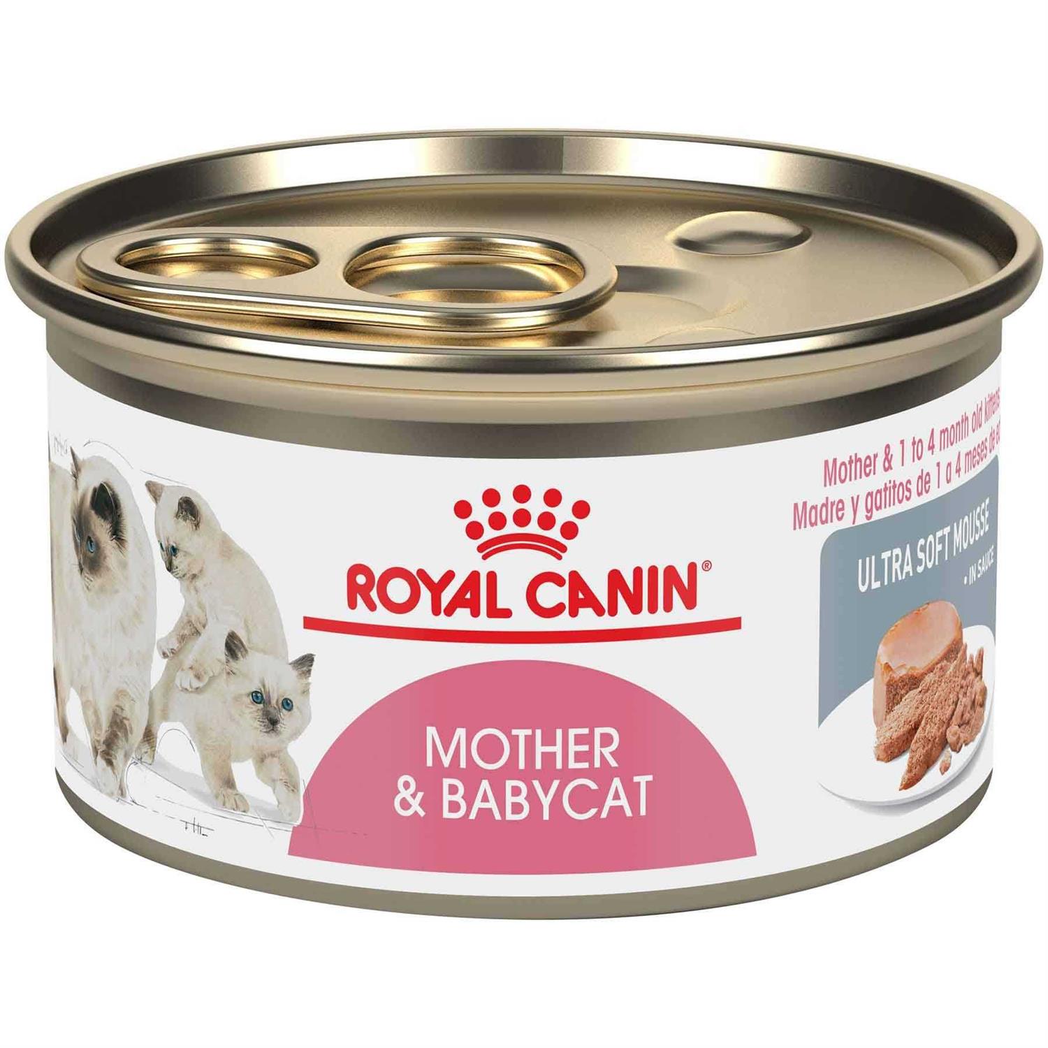 Royal Canin Mother & Babycat Ultra-Soft Mousse in Sauce Wet Cat Food - Healthber