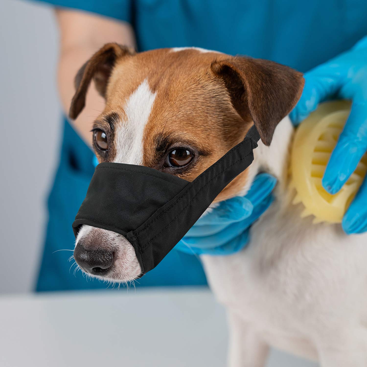 Breathe Comfort Dog Muzzles - Healthber
