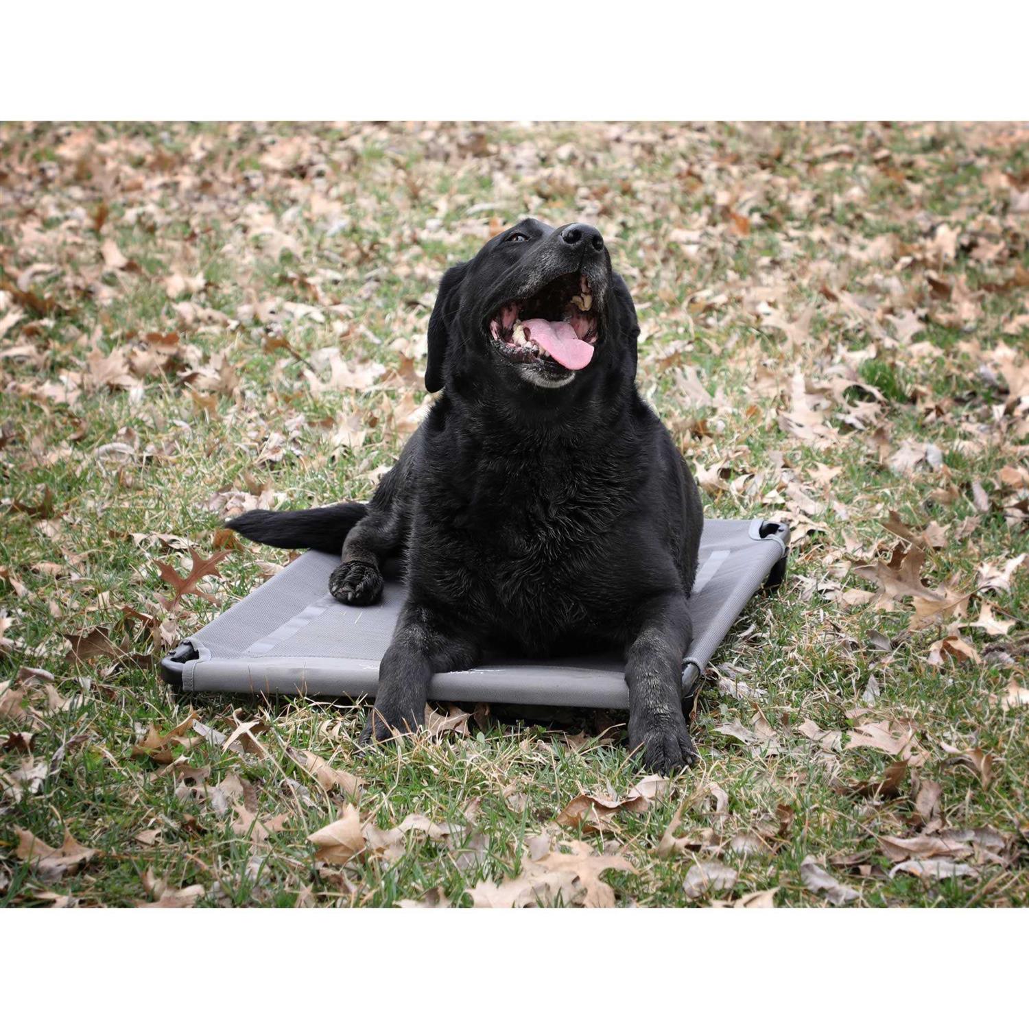 MOmarsh Kennel Cot - Healthber