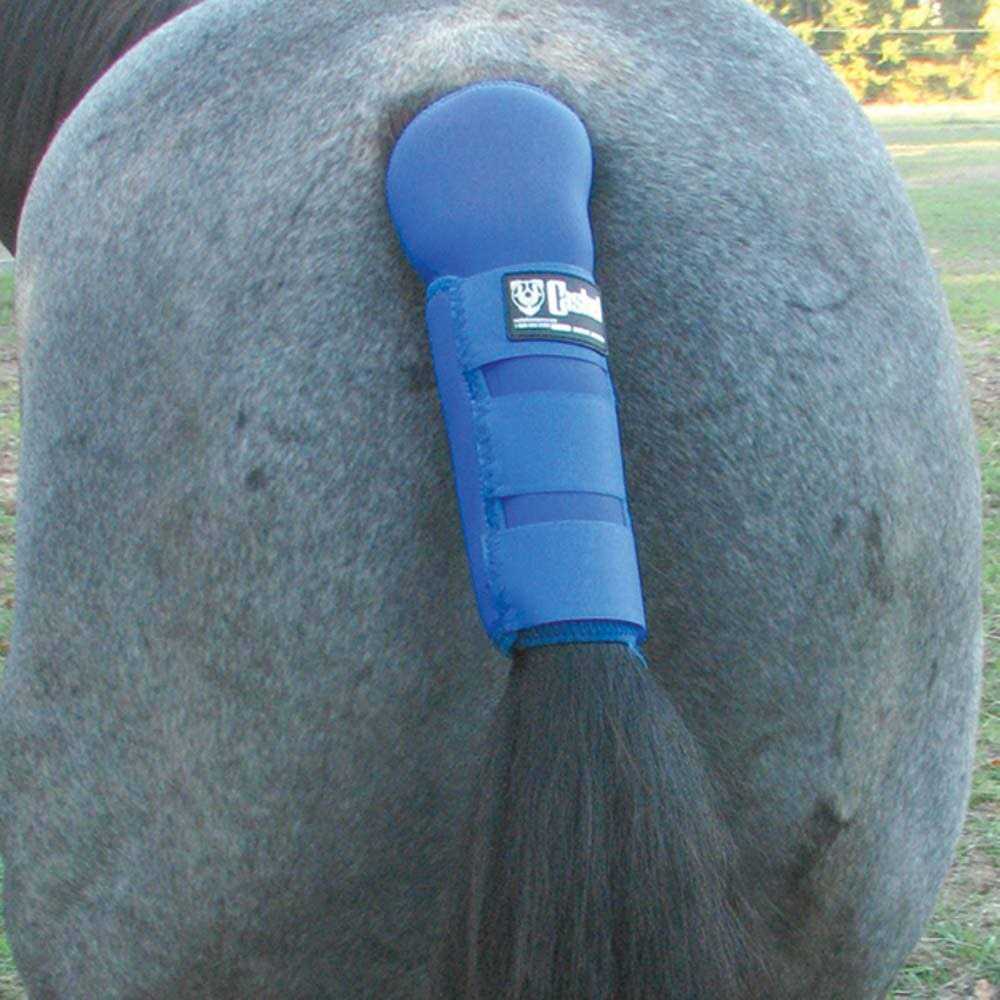 Cashel Tail Shield - Healthber