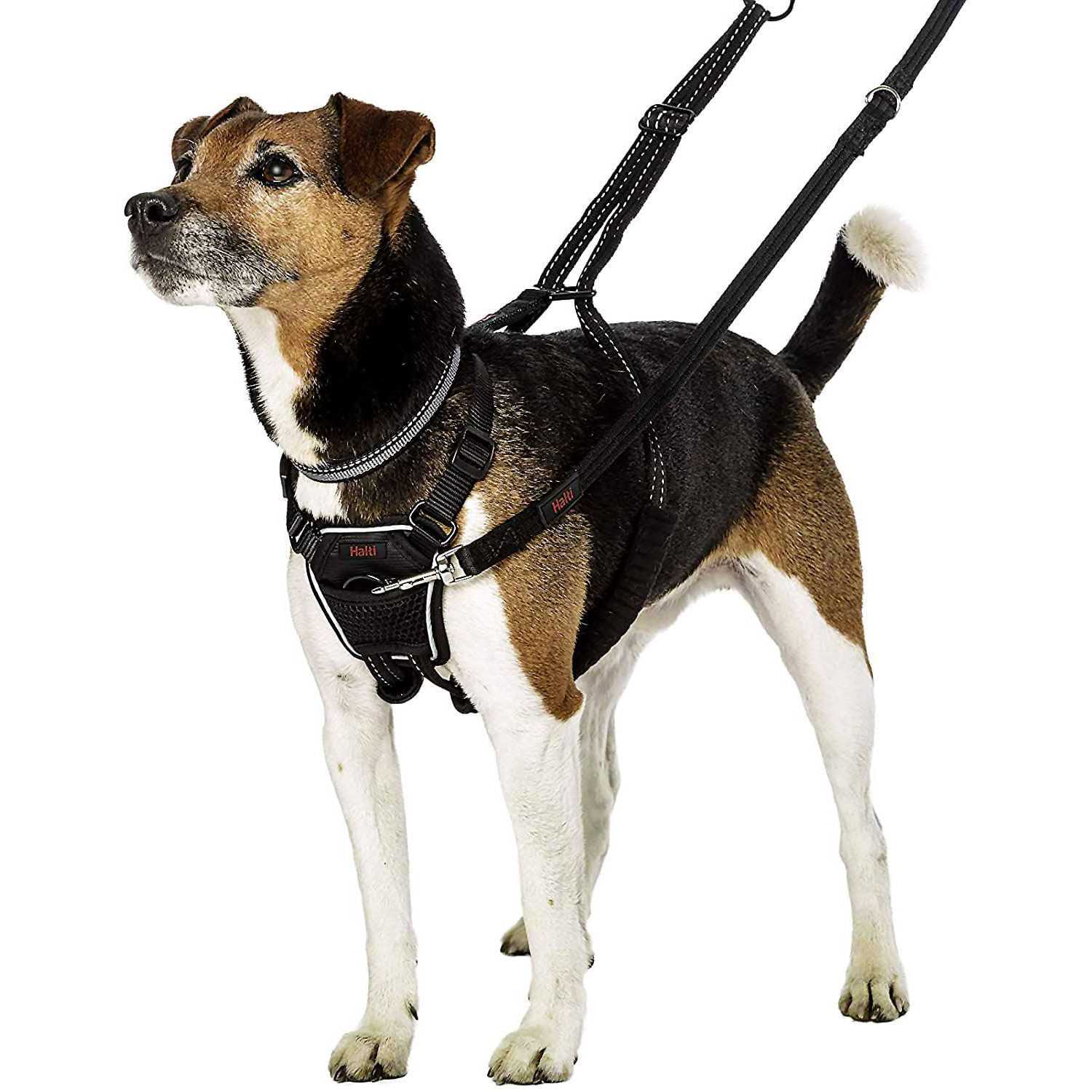 Halti No Pull Harness - Healthber