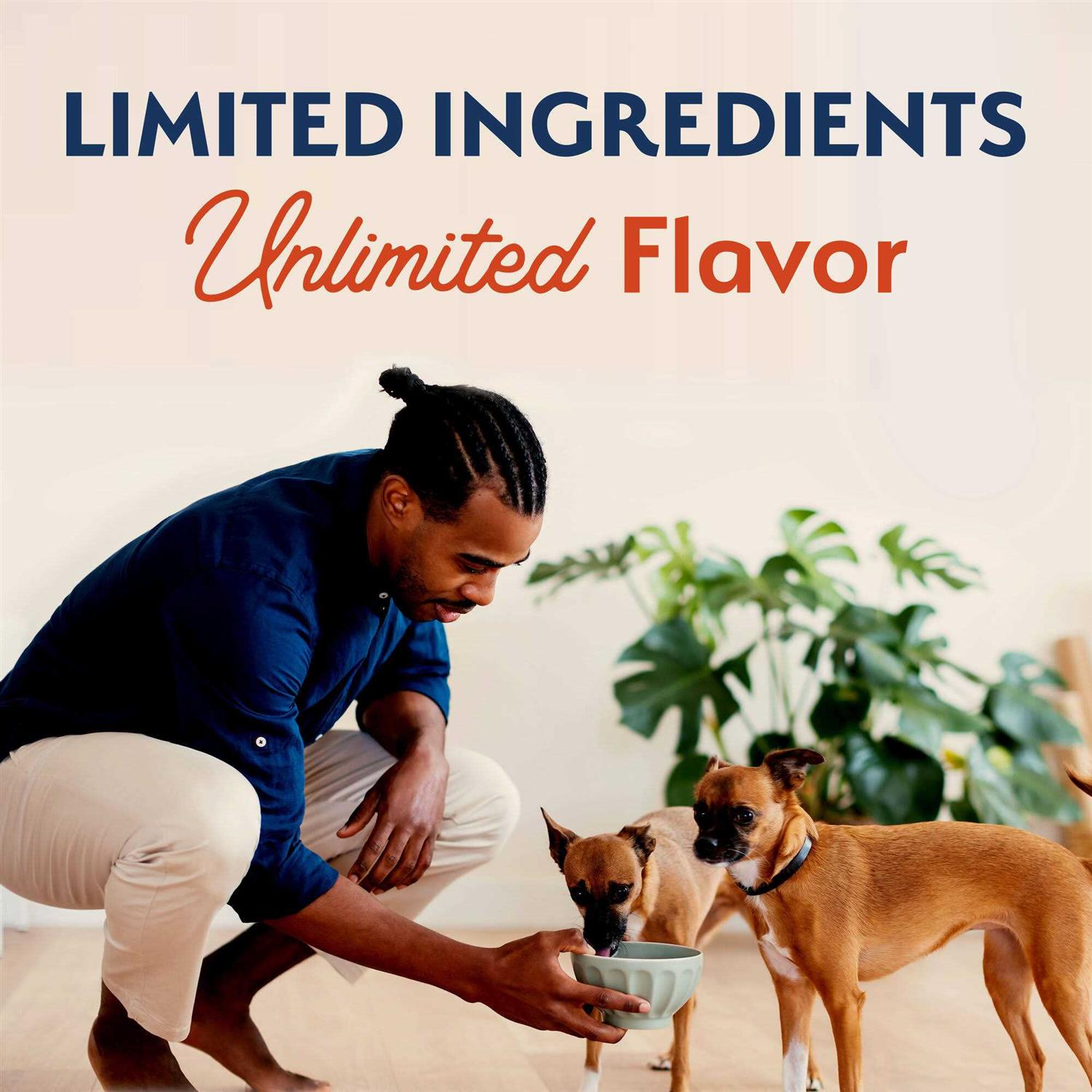 Natural Balance Limited Ingredient Grain Free Salmon & Sweet Potato Small Breed Recipe Dry Dog Food - Healthber
