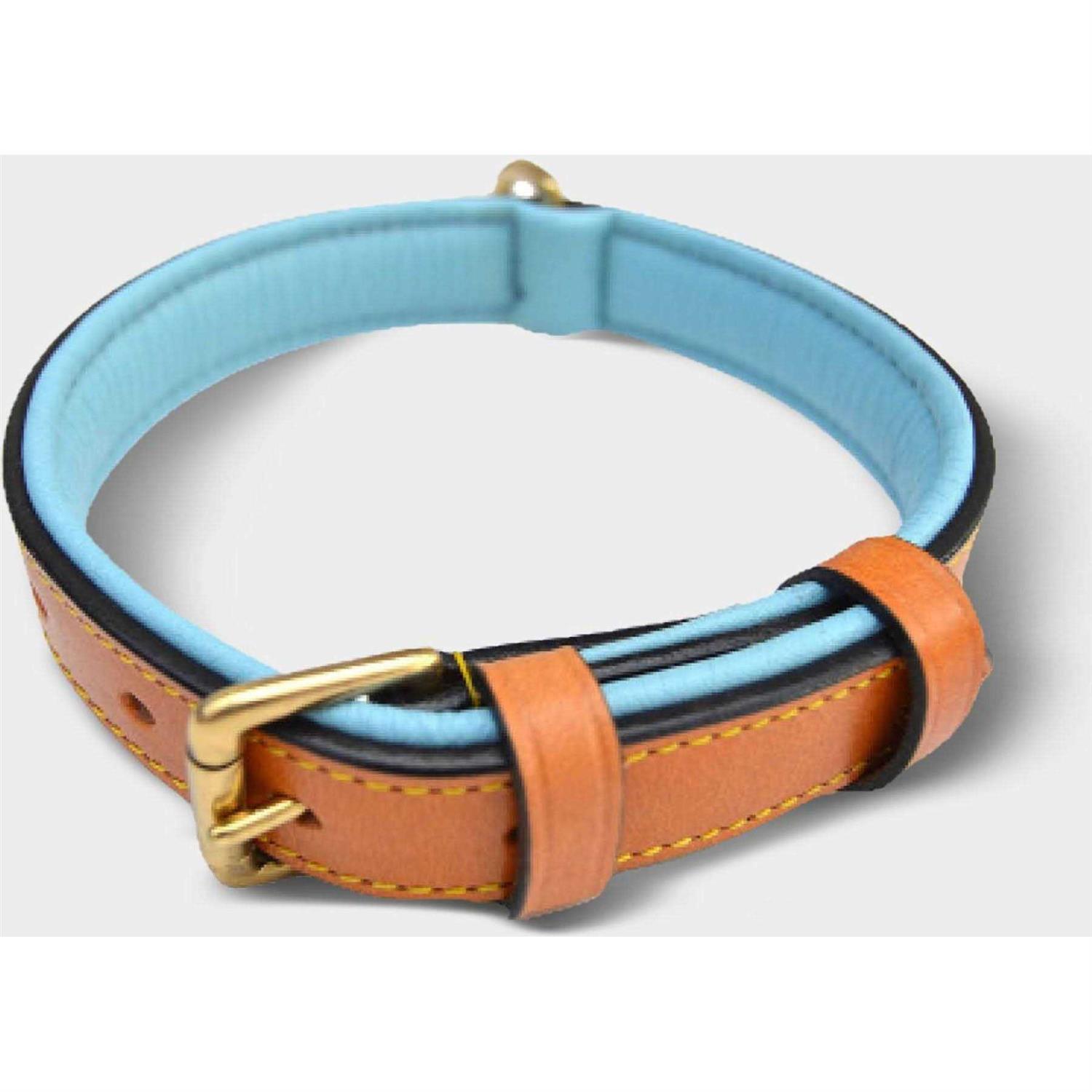 Soft Touch Collars Leather Dog Collar Padded - Healthber