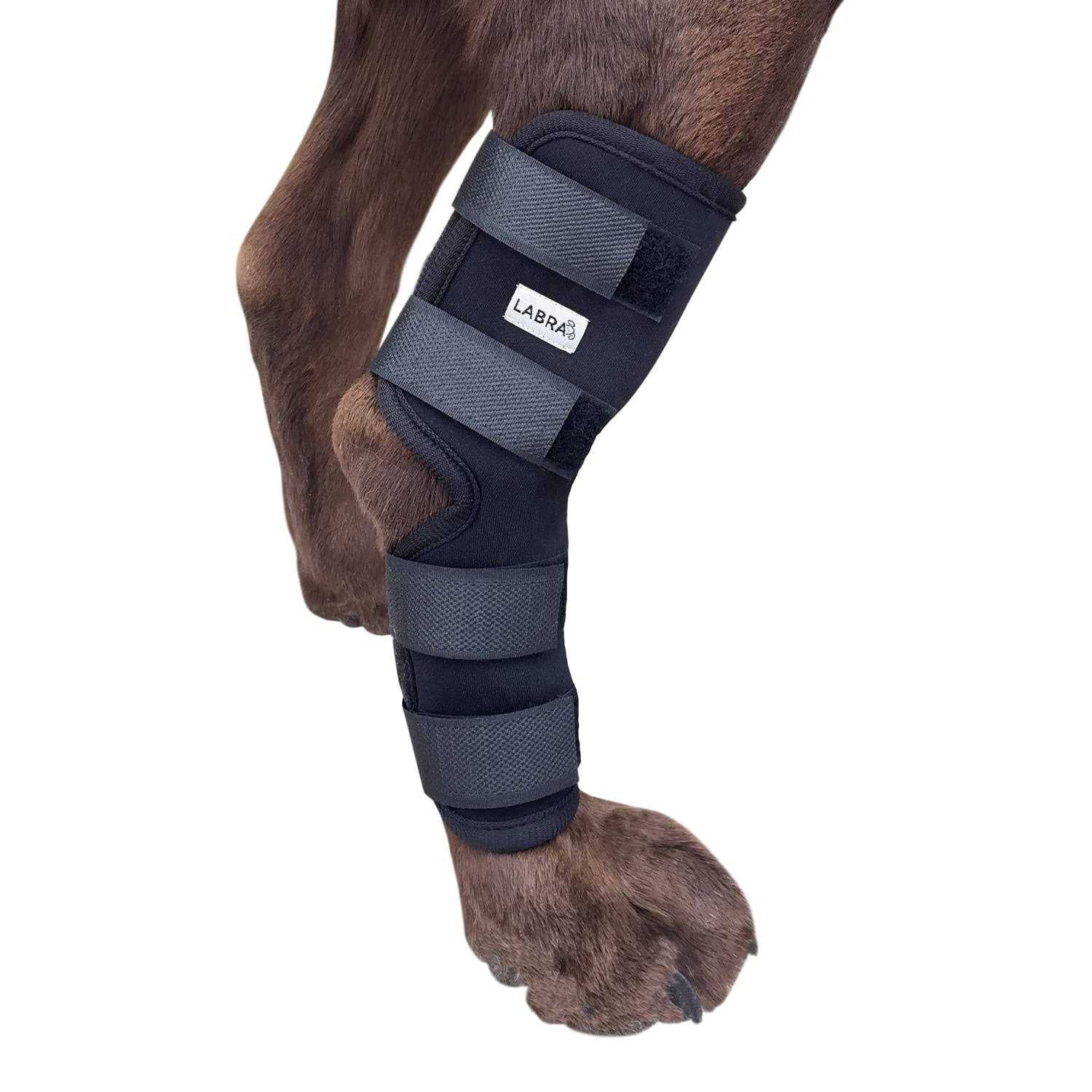 Labra Dog Extra Supportive Canine Rear Leg Hock Joint Compression Wrap and and - Healthber